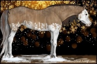 Horse Color:Red Dun Splash  and Bay Dun Splash 