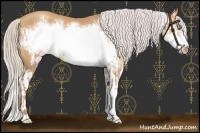 Horse Color:Silver Amber Champagne Frame  and Silver Amber Champagne Splash Frame 