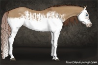 Horse Color:Red Dun Splash  and Red Dun Splash Frame 