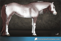 Horse Color:Chocolate Silver Blue Onyx Chinchilla  and Chocolate Blue Onyx Chinchilla 