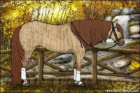 Horse Color:Red Dun and Red Dun