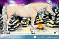Horse Color:Silver Bay Pearl Dun Tobiano  and Silver Bay Pearl Dun Splash Tobiano 