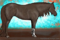 Horse Color:Liver Chestnut and Liver Chestnut
