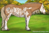 Horse Color:Chestnut Splash Frame  and Chestnut Splash Frame 