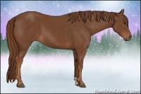 Horse Color:Chestnut  and Chestnut 