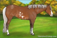Horse Color:White Spotted Silver Bay Splash and White Spotted Silver Bay Splash