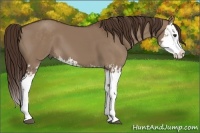 Horse Color:Liver Red Dun Splash  and Liver Red Dun Splash 