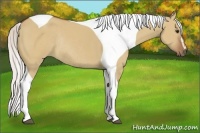 Horse Color:Silver Bay Dun Sabino Tobiano Frame Rabicano and Silver Bay Dun Sabino Tobiano Frame Rabicano