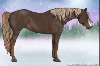 Horse Color:Liver Chestnut