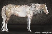 Horse Color:White Spotted Silver Bay Ice and Silver Bay Ice Dun Splash