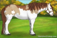 Horse Color:Red Dun Splash and Chestnut Splash