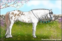 Horse Color:Buckskin Blanket and Bay Dun Blanket