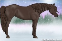 Horse Color:Liver Chestnut 