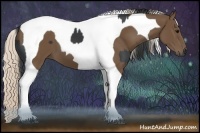 Horse Color:Black Tobiano and Silver Black Tobiano