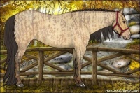 Horse Color:Brown Roan Dun  and Sable Champagne Roan Dun 