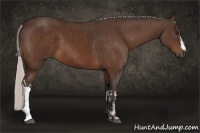 Horse Color:Silver Bay  and Silver Bay 