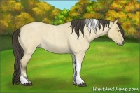 Horse Color:Buckskin Roan Dun Tobiano and Buckskin Roan Dun Tobiano