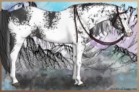 Horse Color:White Spotted Black 