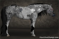 Horse Color:ERROR: UNKNOWN ANOMALY and ERROR: UNKNOWN ANOMALY