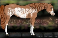 Horse Color:Chestnut  and Chestnut Frame 