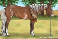 Horse Color:White Spotted Silver Bay Splash 