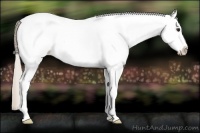 Horse Color:White Spotted Silver Bay Splash 