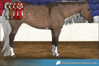 Horse Color:Silver Brown Dun Tobiano 