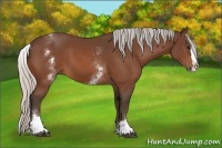 Horse Color:White Spotted Silver Bay Splash 