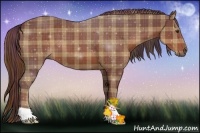Horse Color:Plaid Chestnut