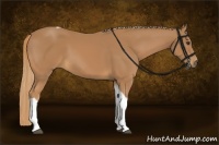 Horse Color:Chestnut Tobiano