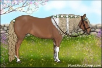 Horse Color:Chestnut Tobiano