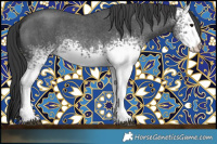 Horse Color:White Spotted Blue Roan 