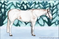 Horse Color:White Spotted Silver Bay Splash 