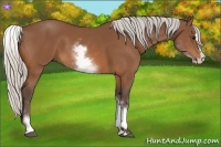 Horse Color:White Spotted Silver Bay Splash 