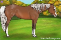 Horse Color:White Spotted Silver Bay Splash 