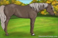 Horse Color:Silver Black 
