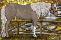 Horse Color:Silver Smoky Black 