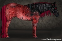 Horse Color:ERROR: UNKNOWN ANOMALY and ERROR: UNKNOWN ANOMALY