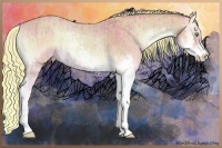 Horse Color:Painted Watercolor Cremello Onyx Sabino and Painted Watercolor Cremello Onyx Sabino