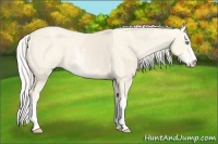 Horse Color:Cremello Sabino  and Cremello Sabino 