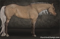 Horse Color:Silver Bay Dun