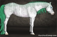 Horse Color:Watercolor Bay Ice Dun Splash 