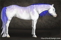 Horse Color:Watercolor Buckskin Ice Onyx Splash Rabicano 