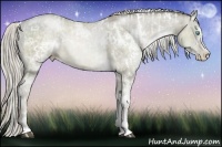 Horse Color:White Spotted Chocolate Palomino Pearl Dun Tobiano and White Spotted Chocolate Palomino Pearl Dun Sabino