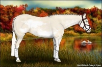 Horse Color:Cremello Sabino  and Cremello Sabino Frame 