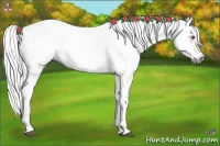 Horse Color:Red Dun Chinchilla