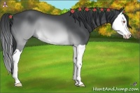 Horse Color:Brown Chinchilla Splash