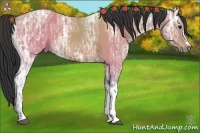 Horse Color:Bay Ice 