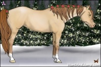 Horse Color:Bay Pearl Dun