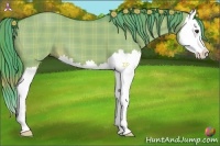 Horse Color:Watercolor Plaid Liver Red Dun Splash